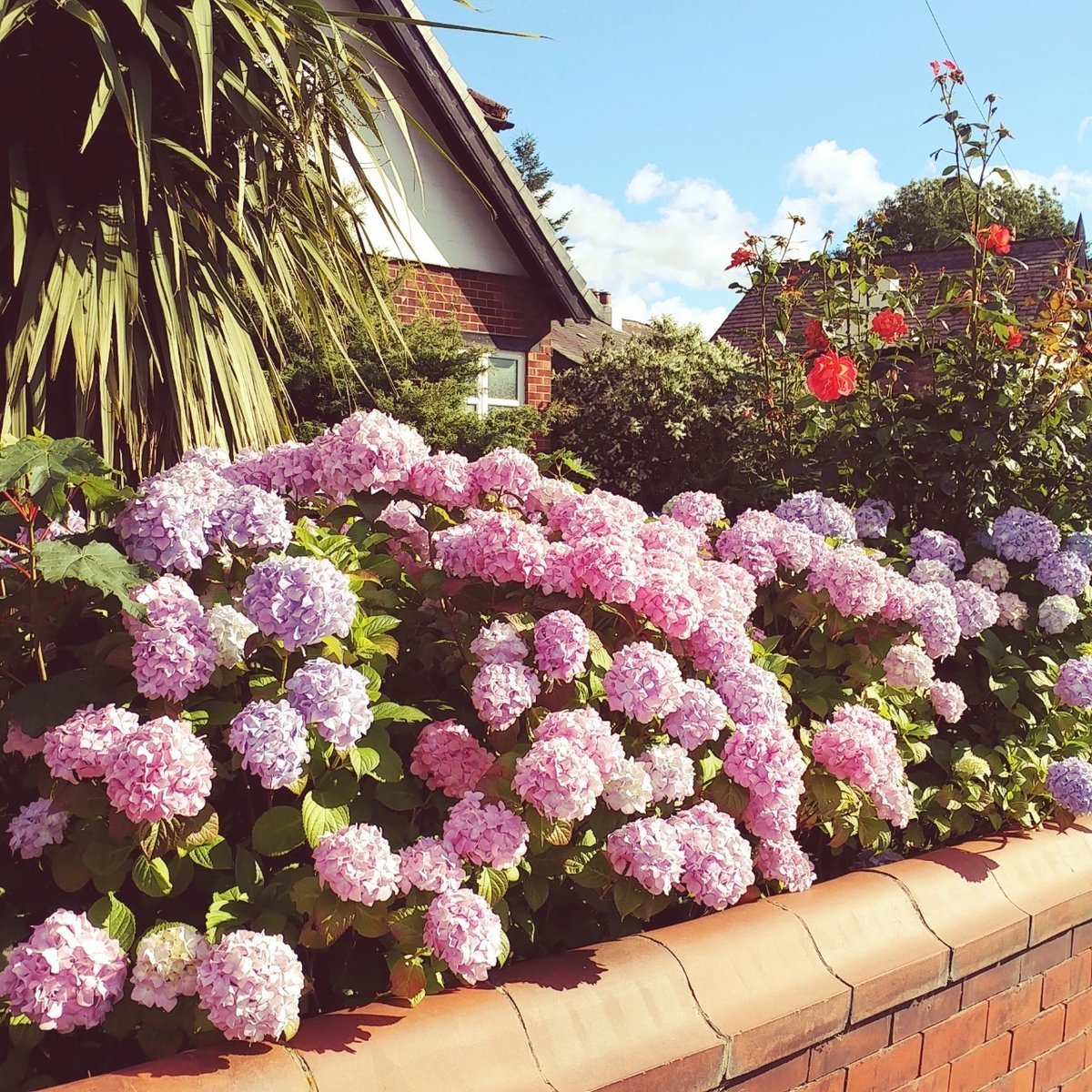 f:id:tra_live:20200711171518j:plain