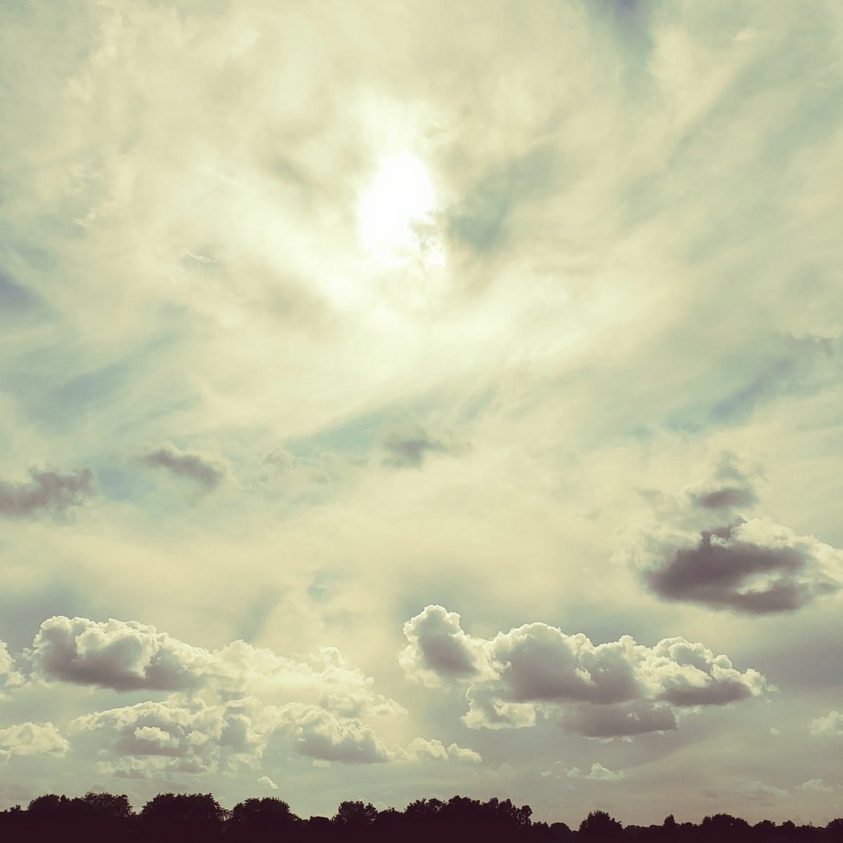 f:id:tra_live:20200721201634j:plain f:id:tra_live:20200721201634j:plain