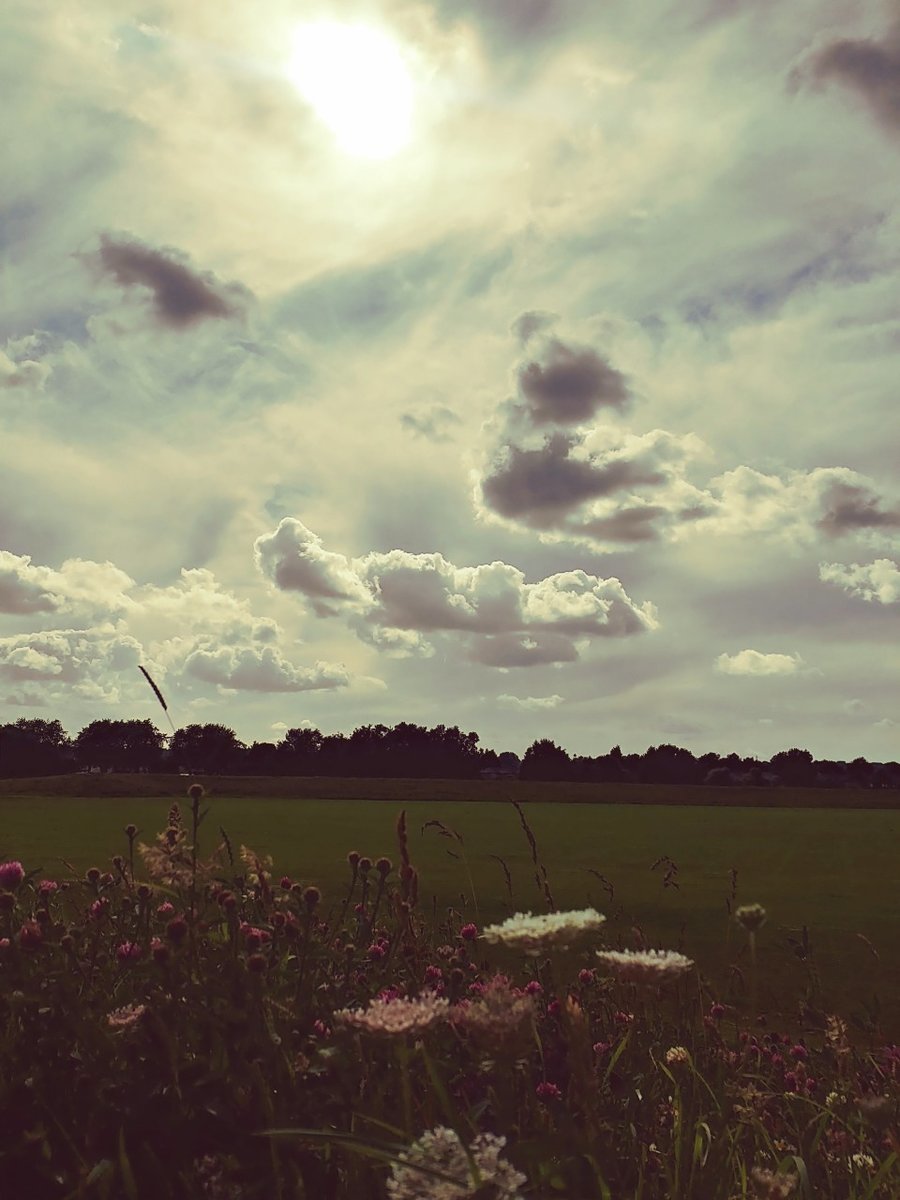 f:id:tra_live:20200721201759j:plain f:id:tra_live:20200721201759j:plain