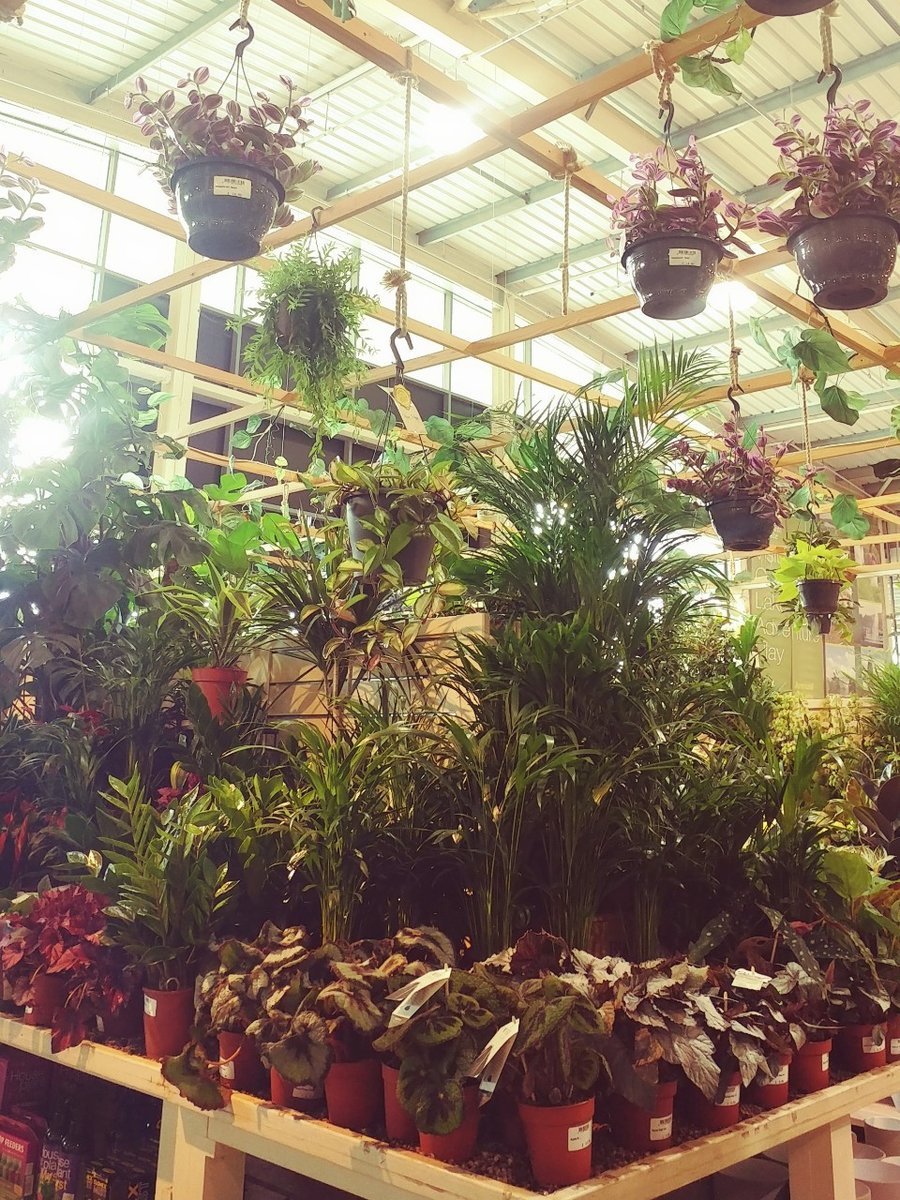 f:id:tra_live:20200812022905j:plain