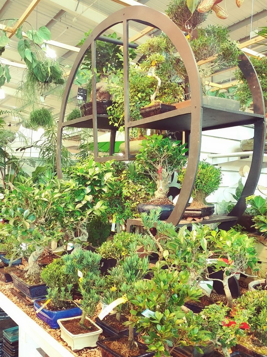 f:id:tra_live:20200812023056j:plain