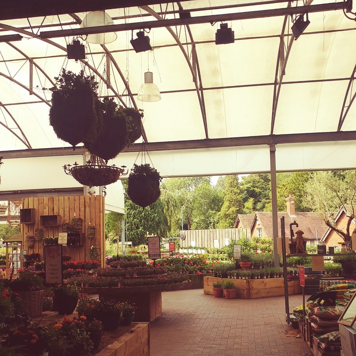 f:id:tra_live:20200812025140j:plain