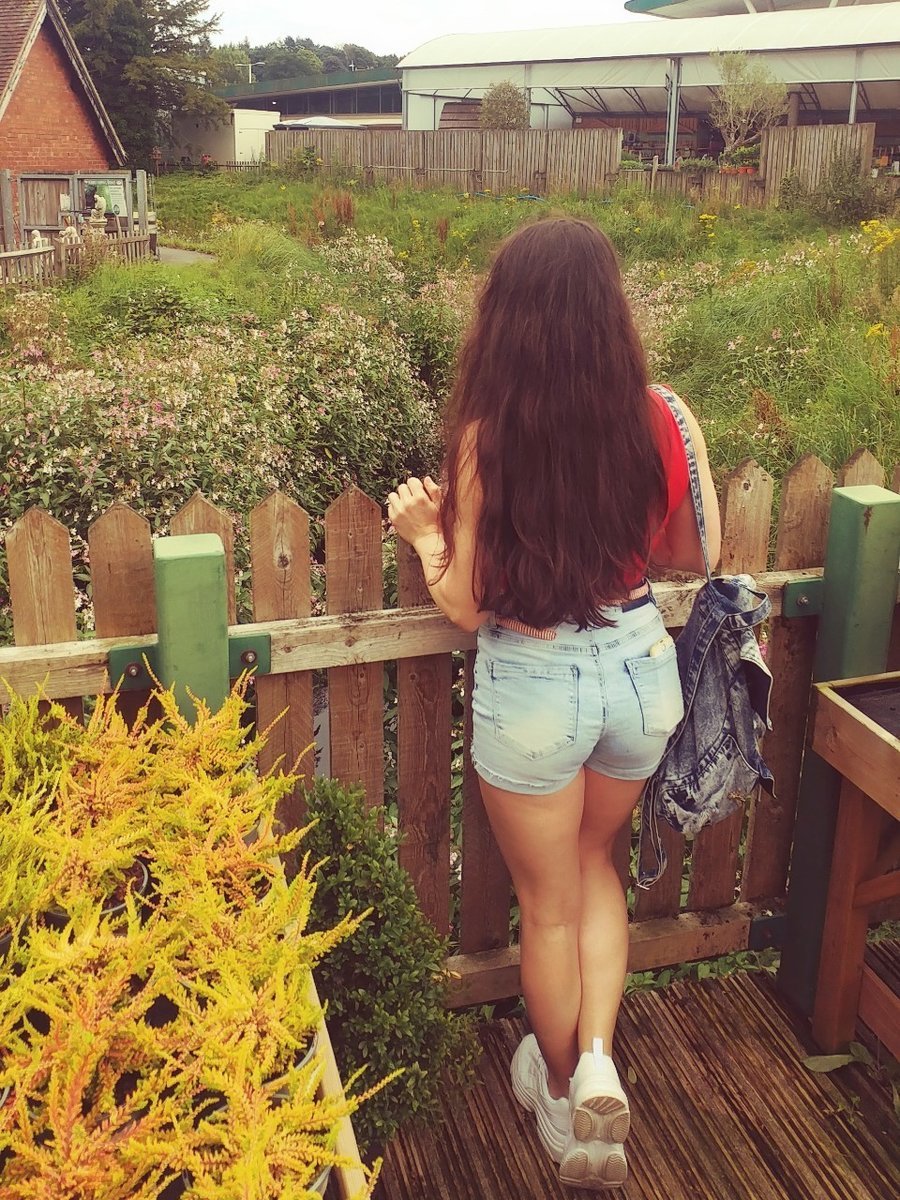 f:id:tra_live:20200812025229j:plain