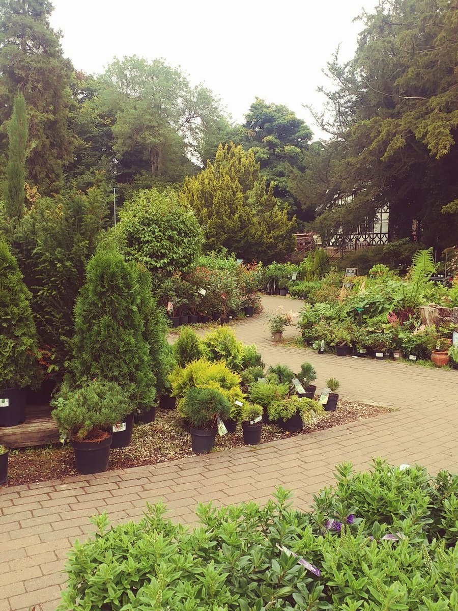 f:id:tra_live:20200812025343j:plain