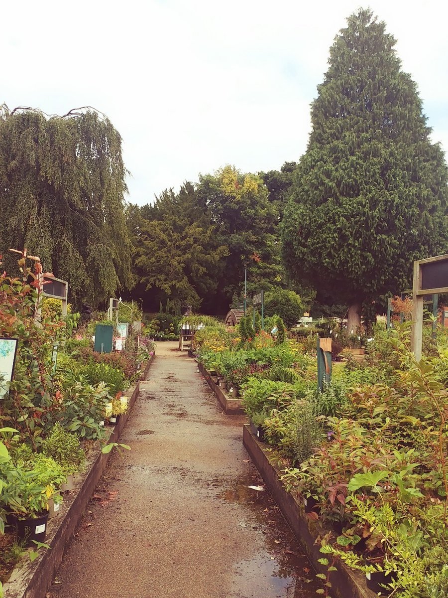 f:id:tra_live:20200812025455j:plain