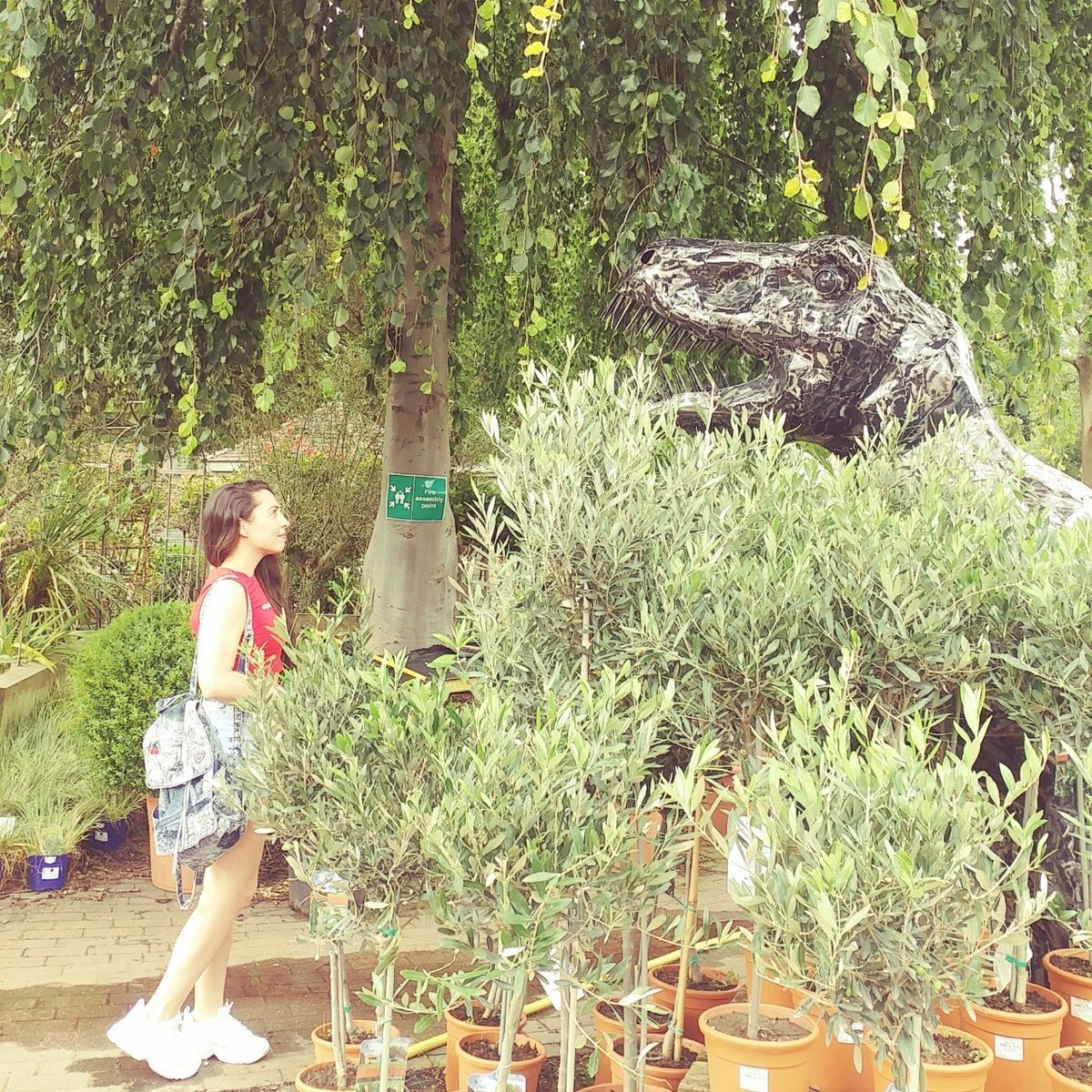 f:id:tra_live:20200812025548j:plain