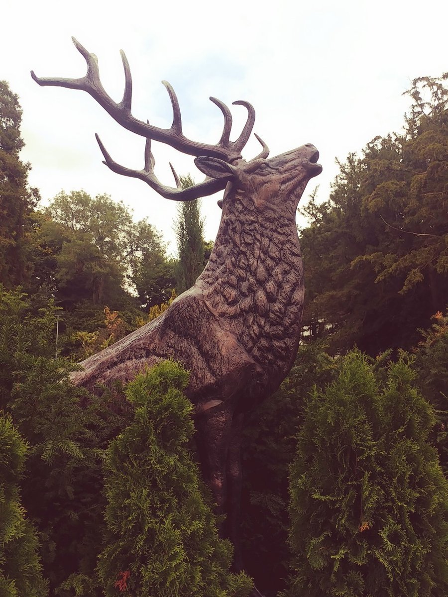 f:id:tra_live:20200812025612j:plain