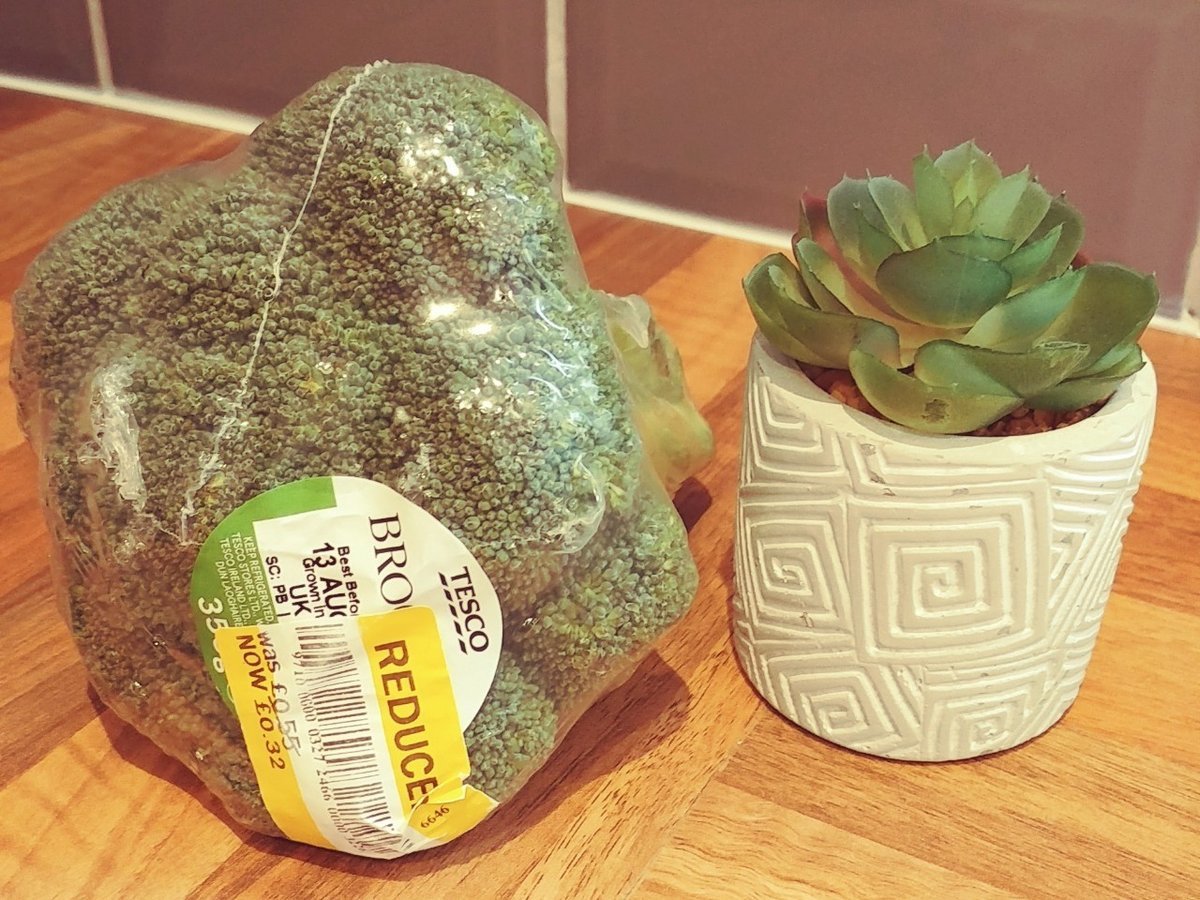 f:id:tra_live:20200818231240j:plain f:id:tra_live:20200818231240j:plain