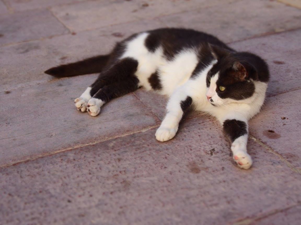 f:id:tra_live:20200920000615j:plain f:id:tra_live:20200920000615j:plain