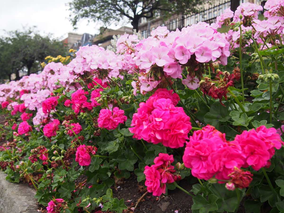 f:id:tra_live:20200921225840j:plain f:id:tra_live:20200921225840j:plain