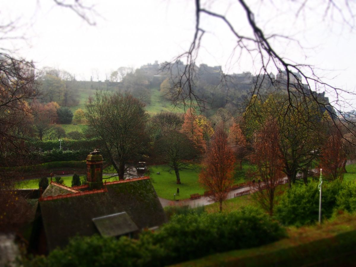 f:id:tra_live:20200921230815j:plain f:id:tra_live:20200921230815j:plain