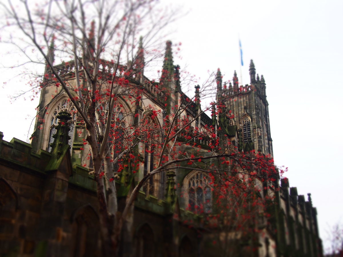 f:id:tra_live:20201006223549j:plain