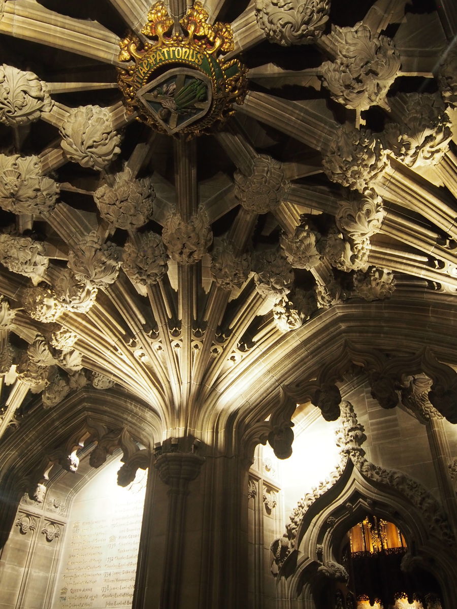 f:id:tra_live:20201007074037j:plain