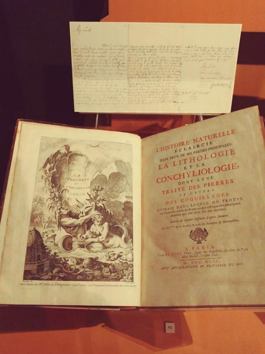 f:id:tra_live:20201008210208j:plain