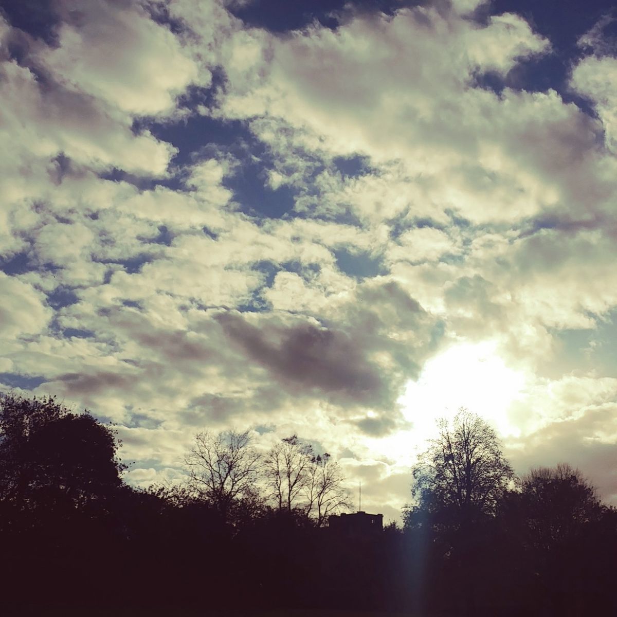 f:id:tra_live:20201021080926j:plain