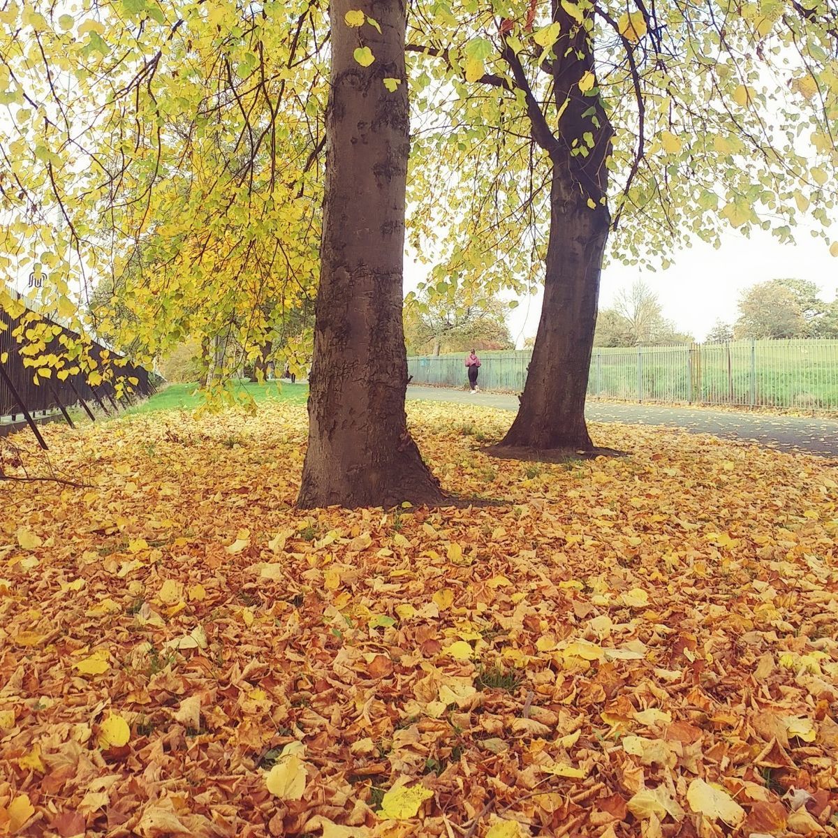 f:id:tra_live:20201021081918j:plain