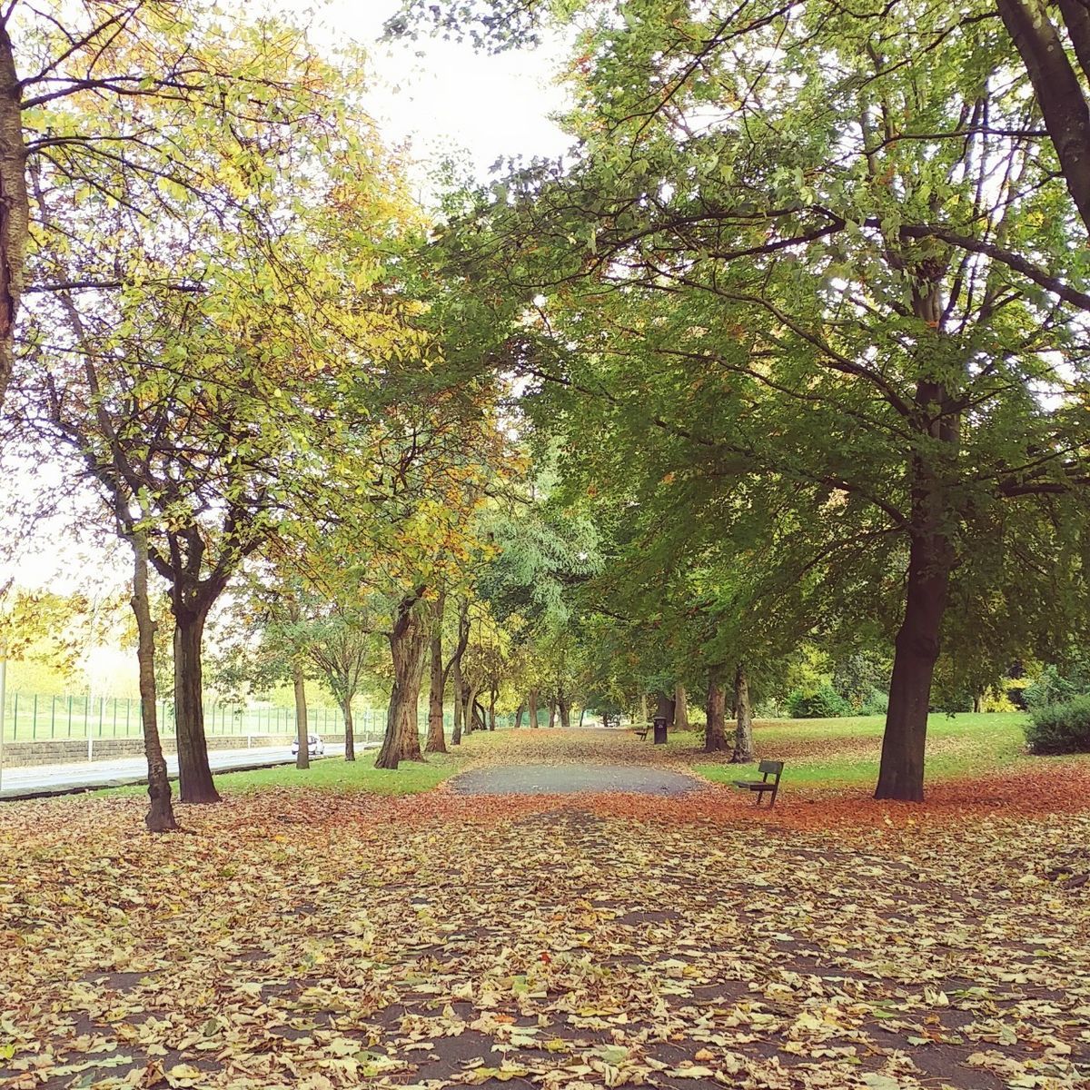 f:id:tra_live:20201021082300j:plain