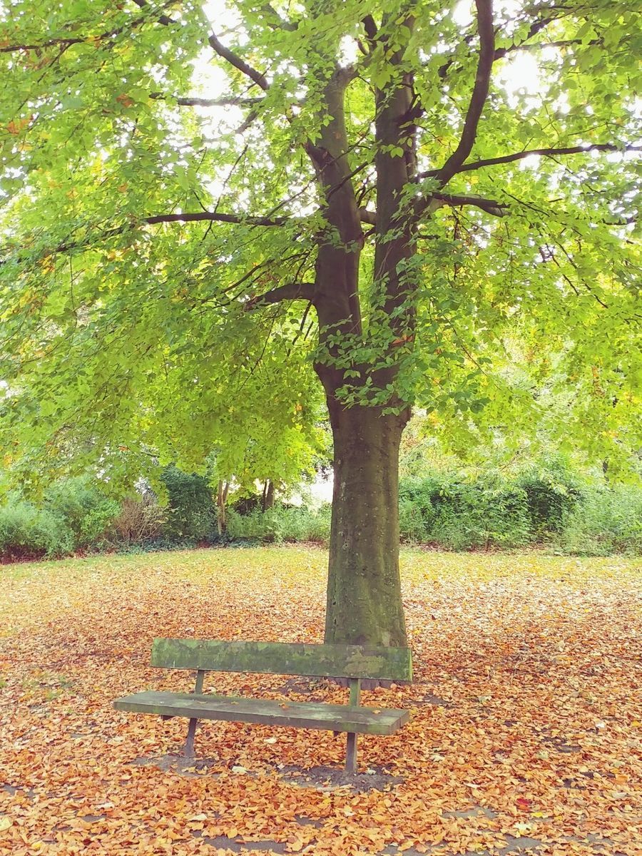 f:id:tra_live:20201021082337j:plain