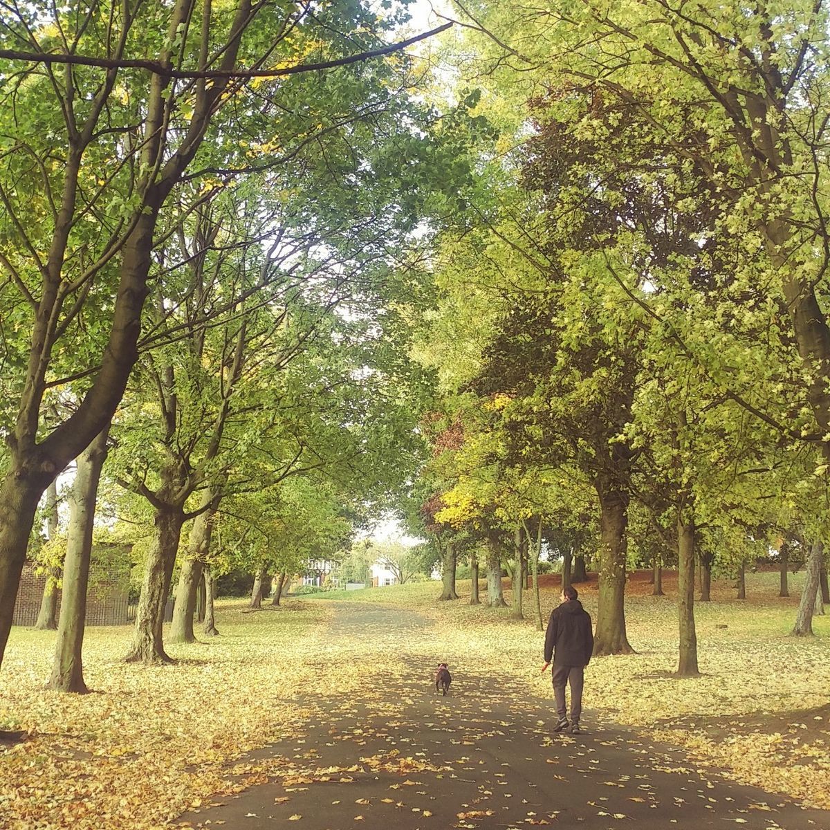 f:id:tra_live:20201021082557j:plain