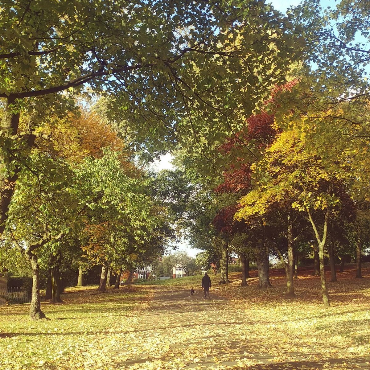 f:id:tra_live:20201021082654j:plain