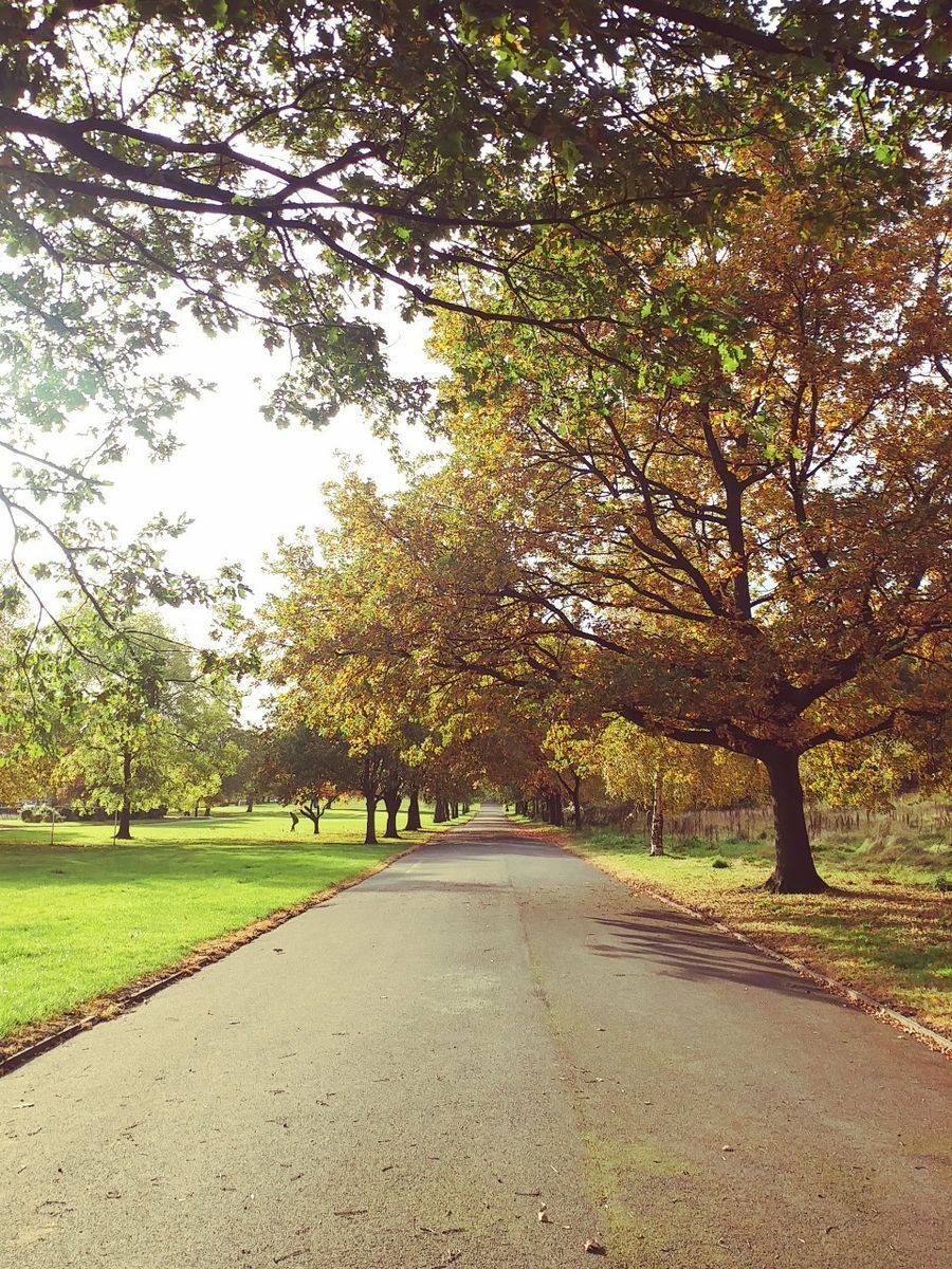 f:id:tra_live:20201021083520j:plain