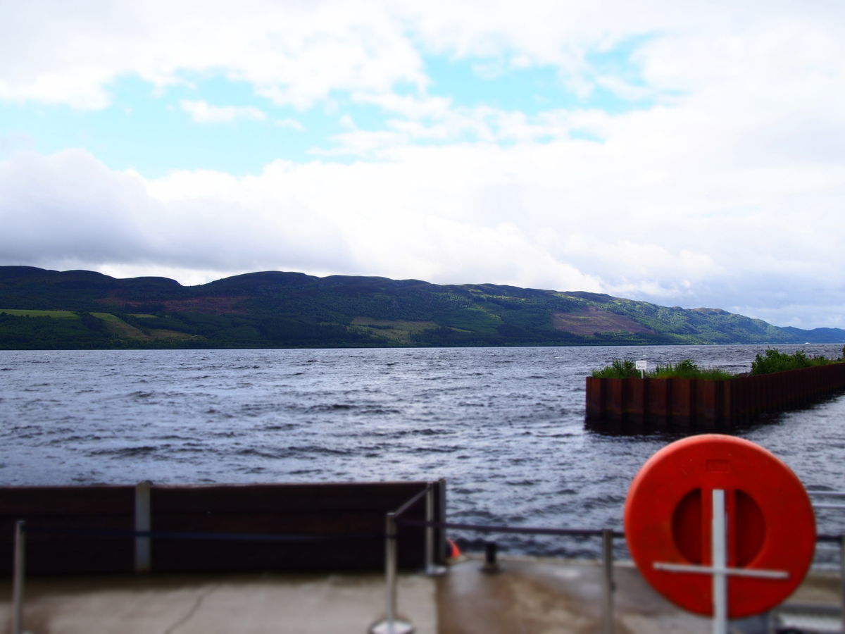 f:id:tra_live:20201104003231j:plain f:id:tra_live:20201104003231j:plain