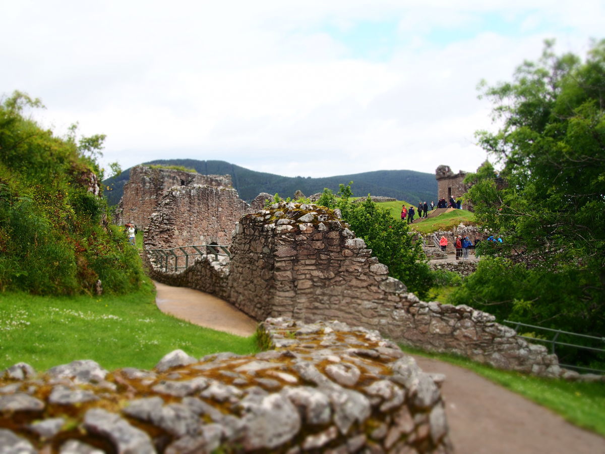 f:id:tra_live:20201104030912j:plain f:id:tra_live:20201104030912j:plain