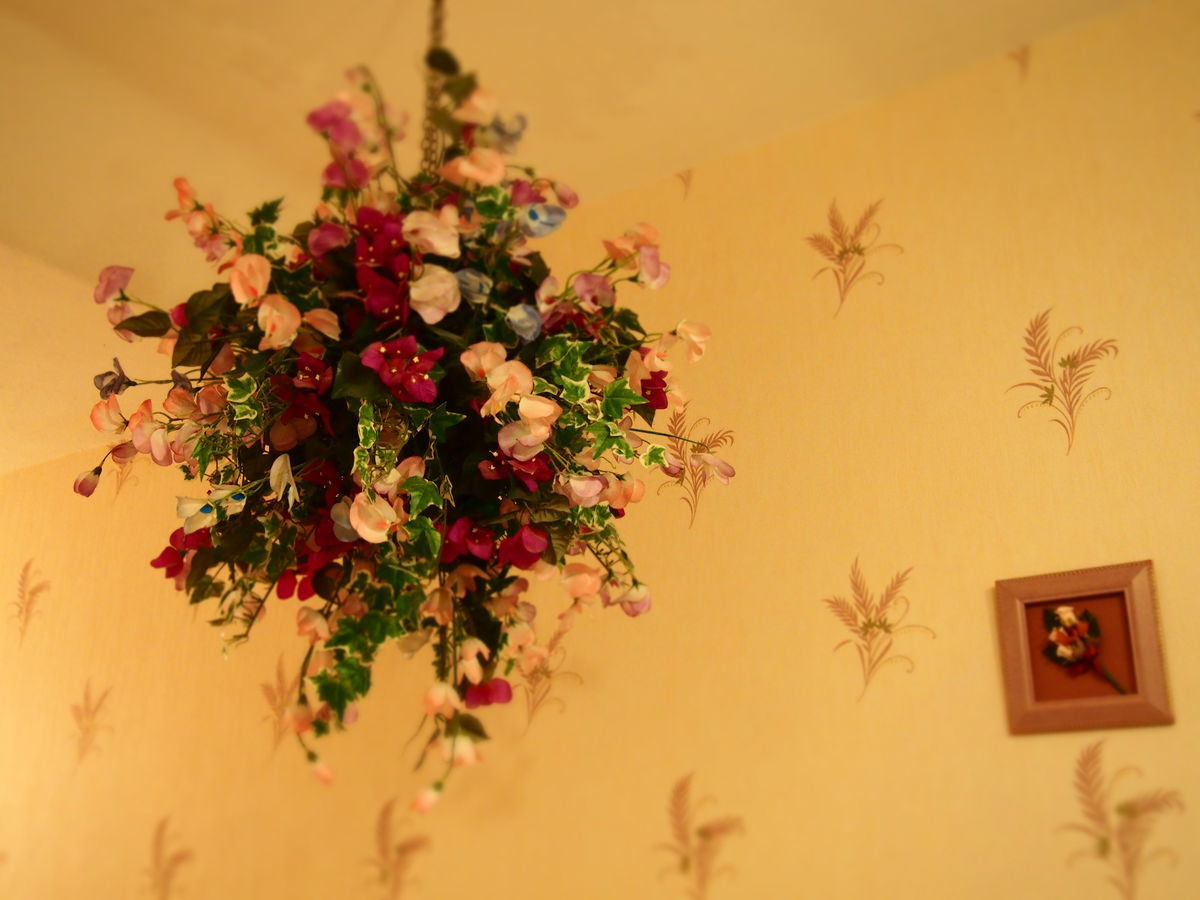 f:id:tra_live:20201112012742j:plain f:id:tra_live:20201112012742j:plain