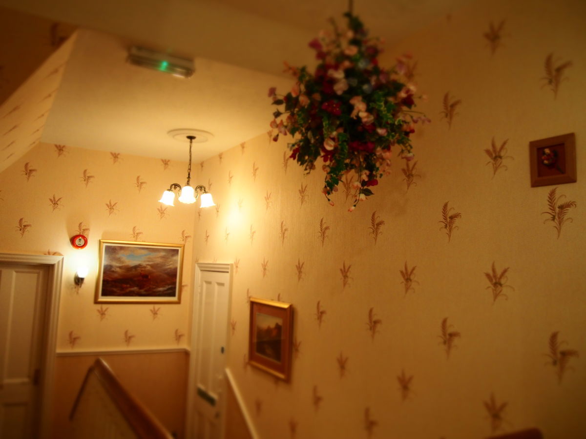 f:id:tra_live:20201112013517j:plain f:id:tra_live:20201112013517j:plain