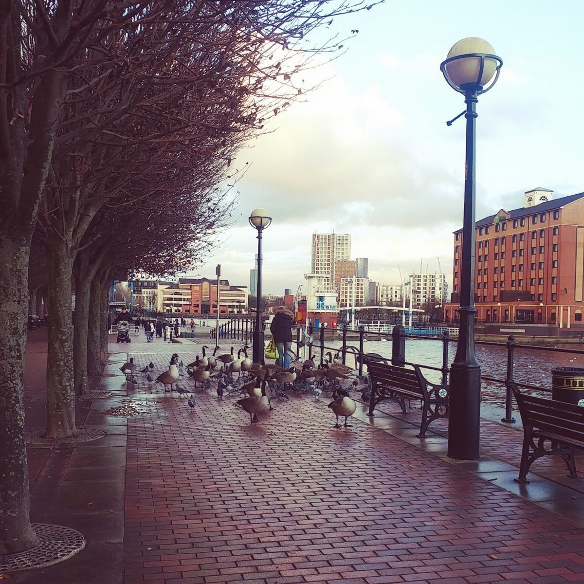 f:id:tra_live:20201128211057j:plain