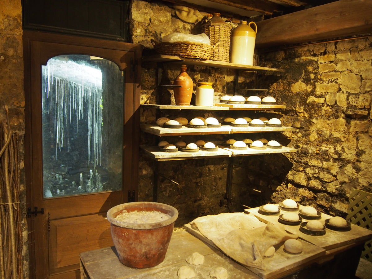 f:id:tra_live:20201202101342j:plain