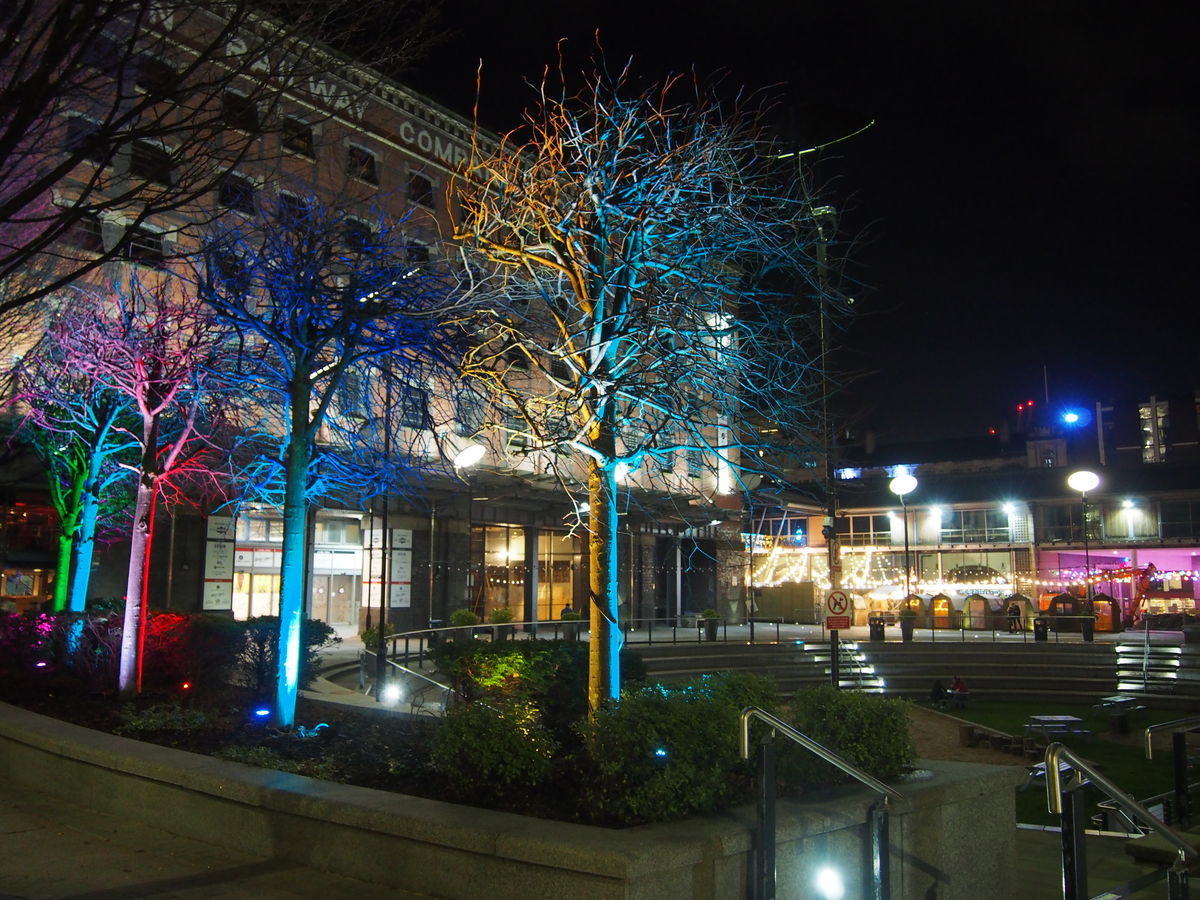 f:id:tra_live:20201222080207j:plain