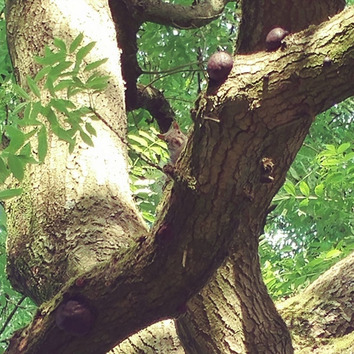 f:id:tra_live:20201228225045j:plain