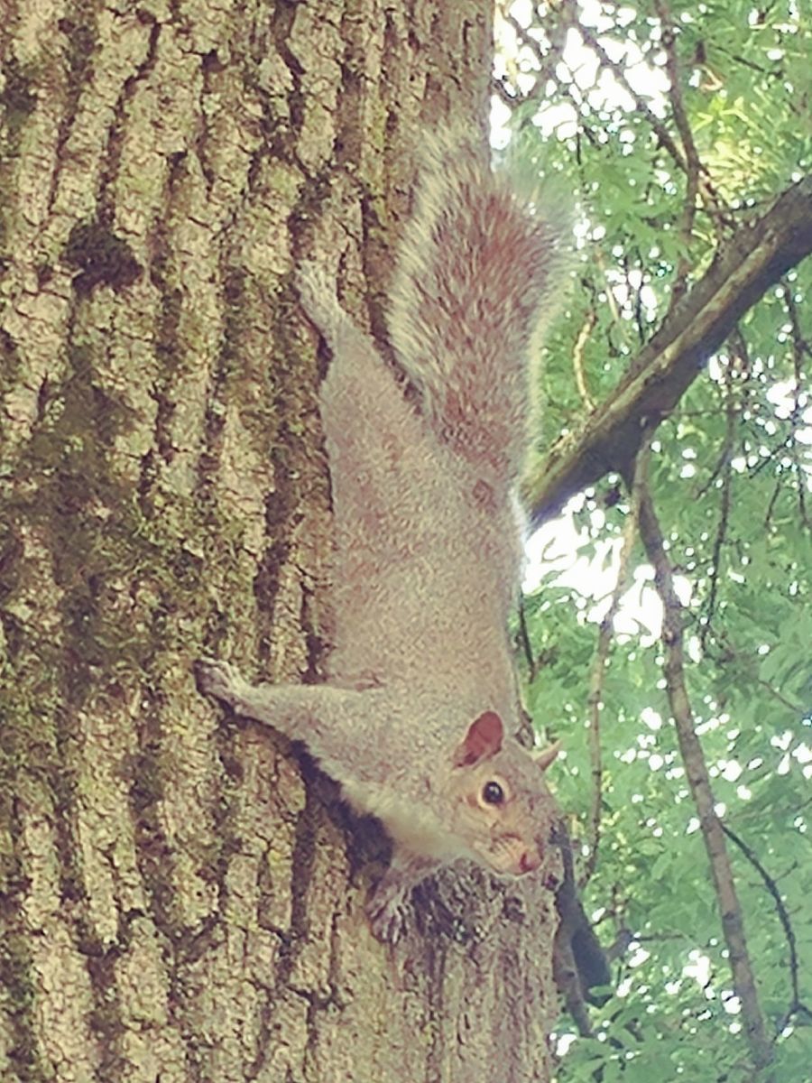 f:id:tra_live:20201228225209j:plain