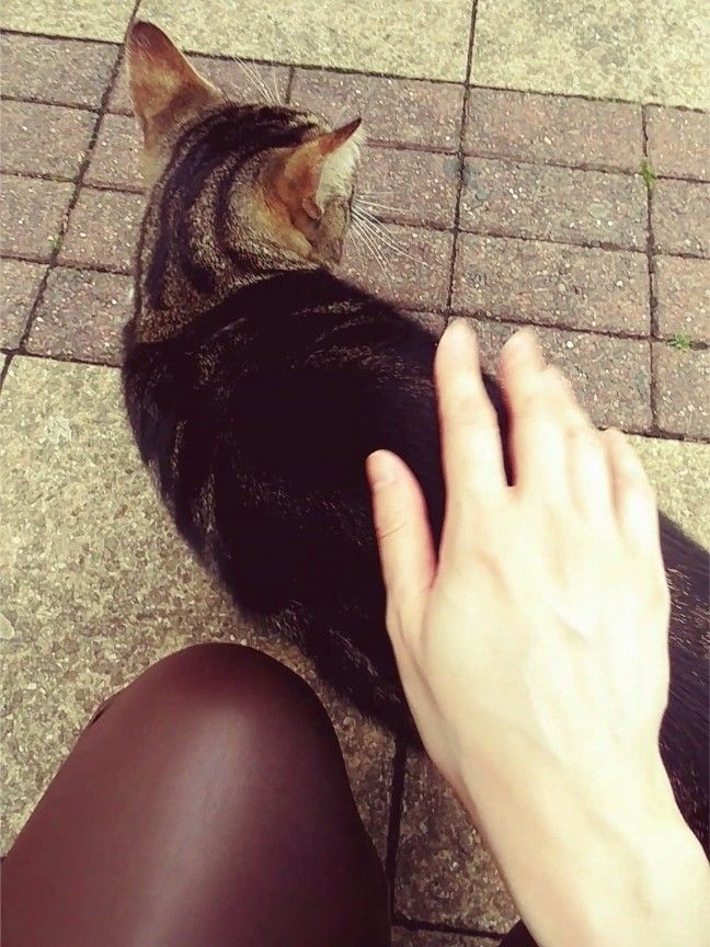 f:id:tra_live:20201228225341j:plain