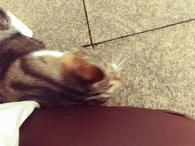 f:id:tra_live:20201228225554j:plain