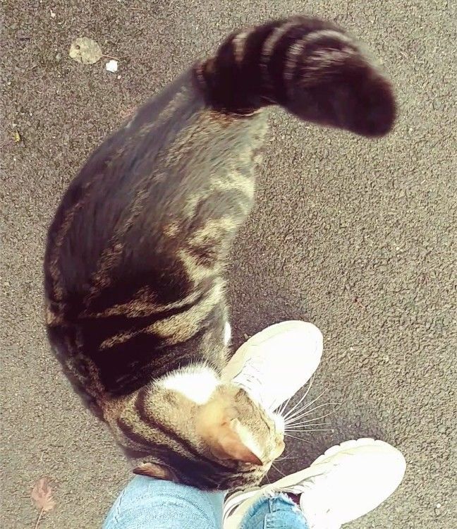 f:id:tra_live:20201228225735j:plain