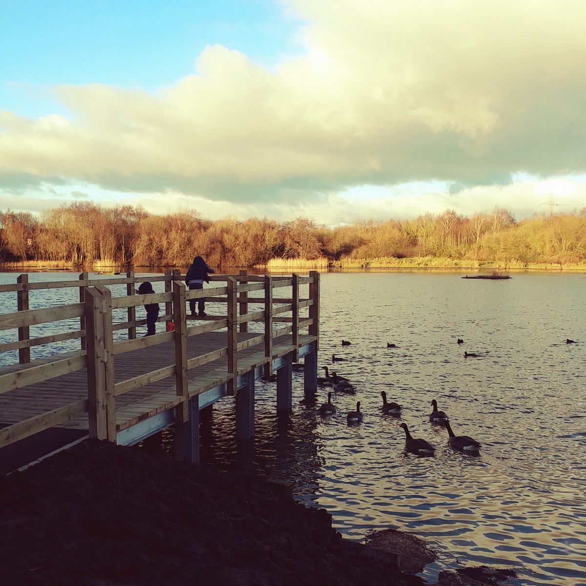 f:id:tra_live:20201228230918j:plain