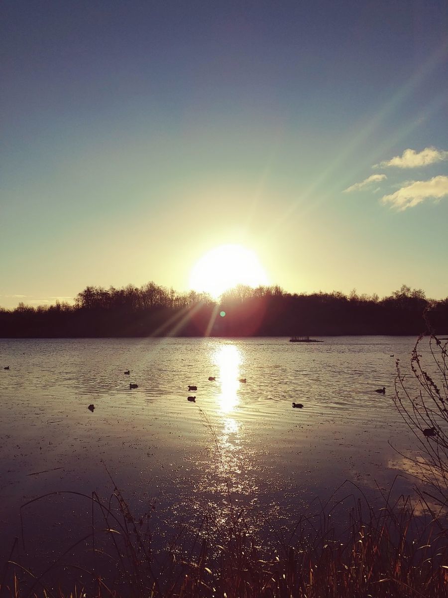 f:id:tra_live:20201228231109j:plain