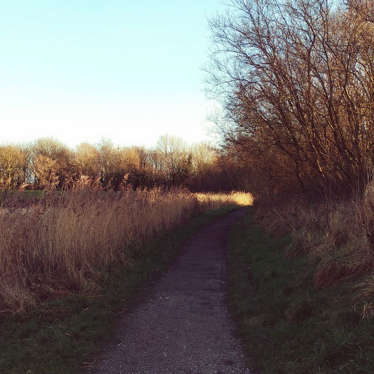 f:id:tra_live:20201228232112j:plain