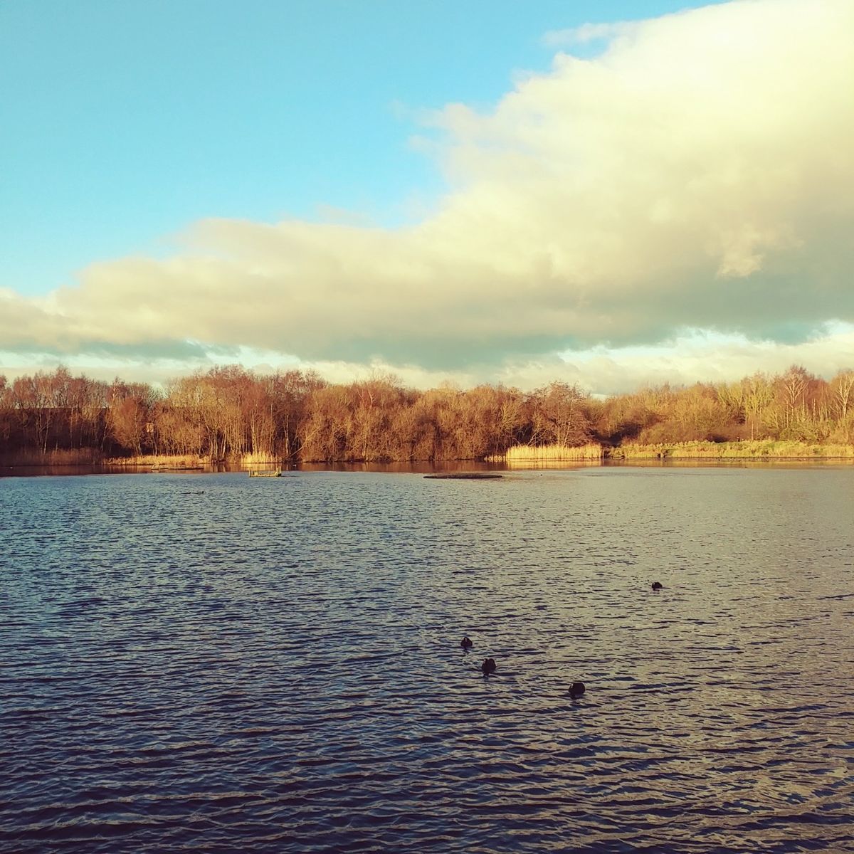 f:id:tra_live:20201228232322j:plain