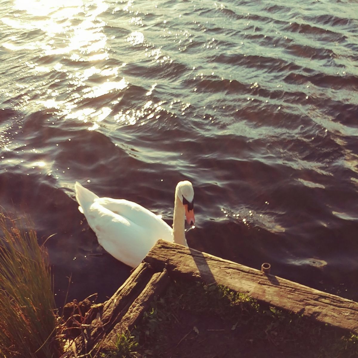 f:id:tra_live:20201228232611j:plain