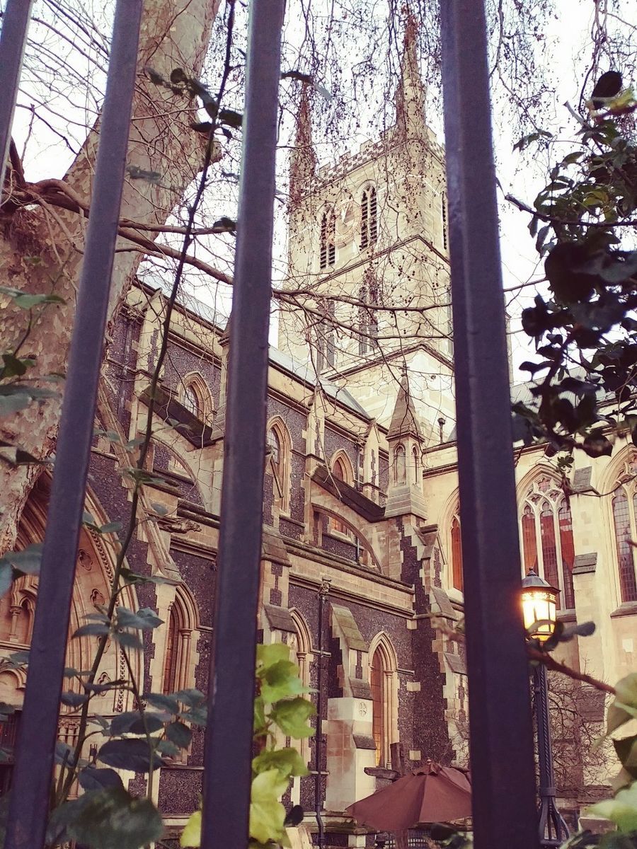 f:id:tra_live:20210203210349j:plain