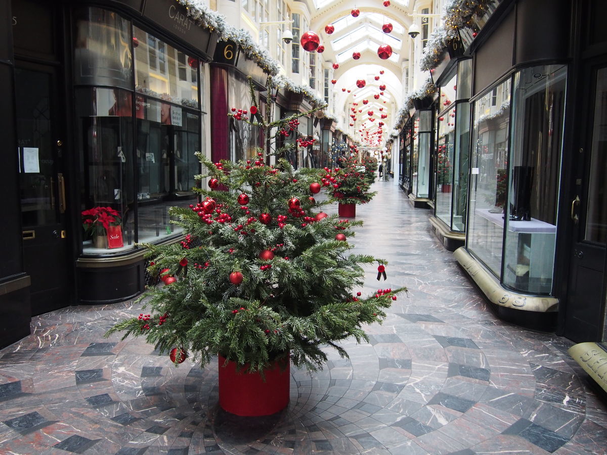 f:id:tra_live:20210208022533j:plain