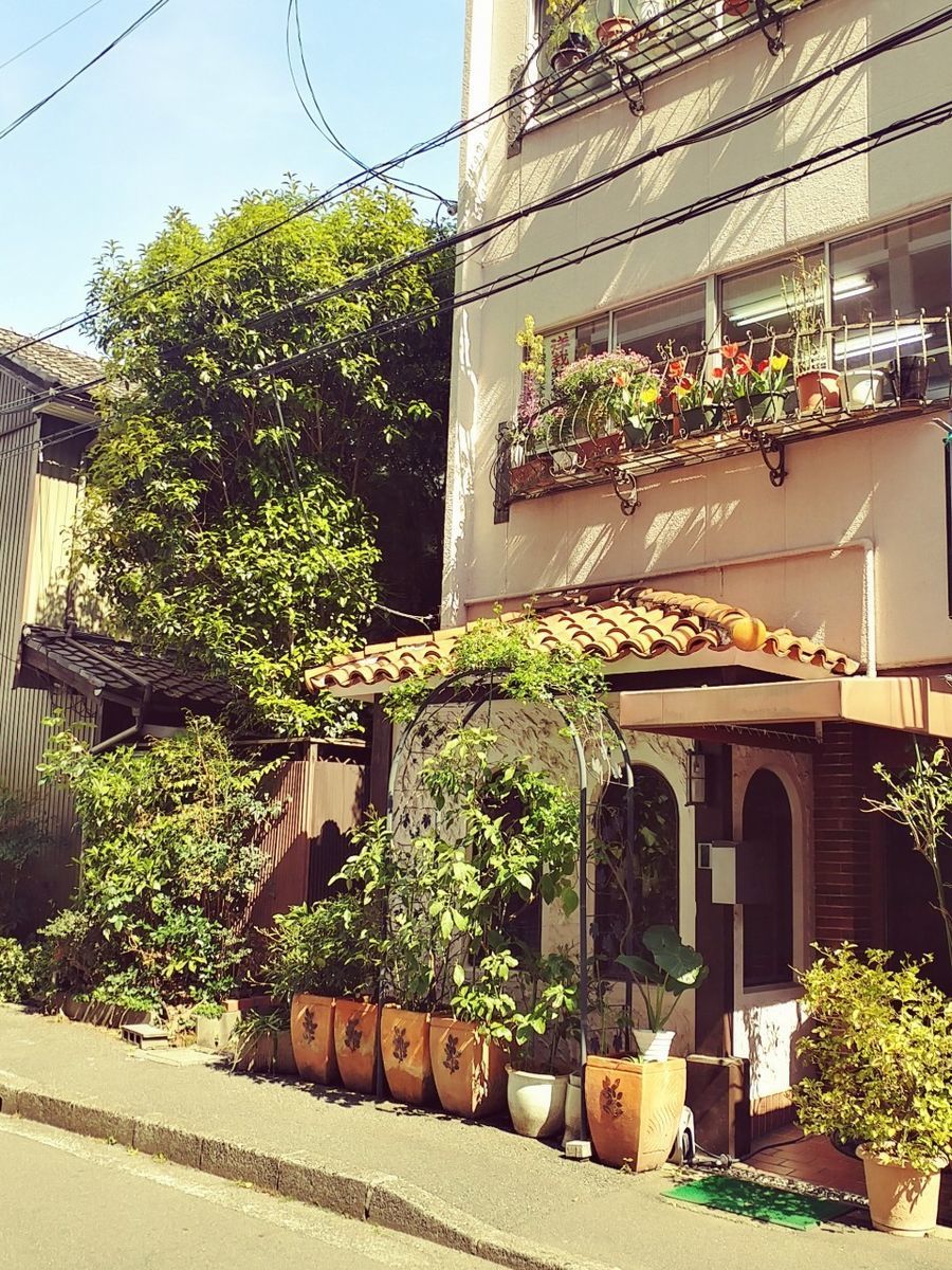 f:id:tra_live:20210414040237j:plain