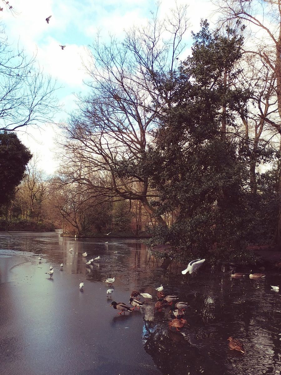 f:id:tra_live:20210426190719j:plain