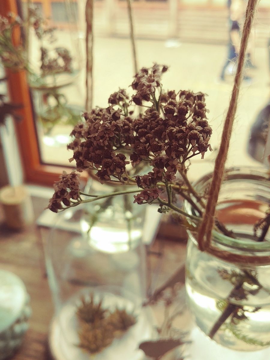 f:id:tra_live:20210501054802j:plain