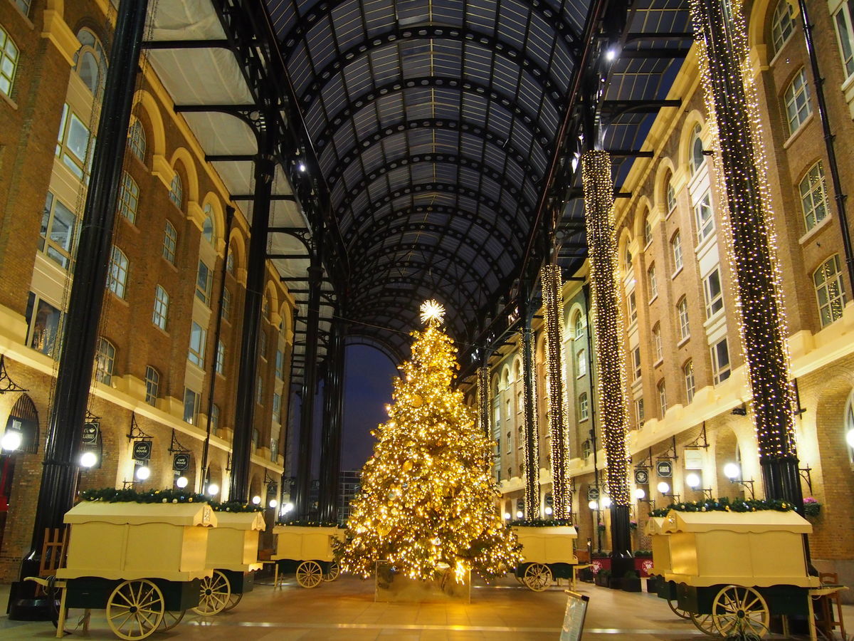 f:id:tra_live:20210616001103j:plain