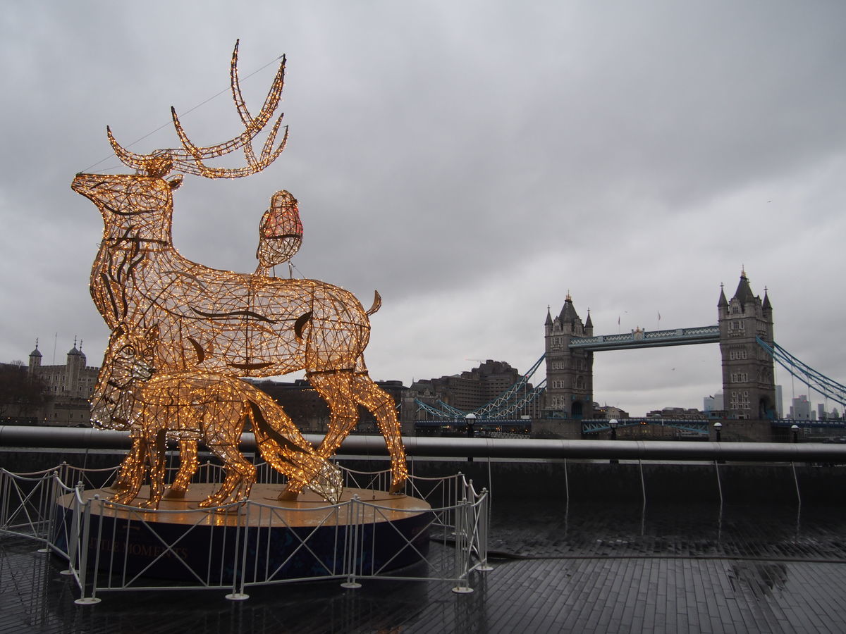 f:id:tra_live:20210618011435j:plain