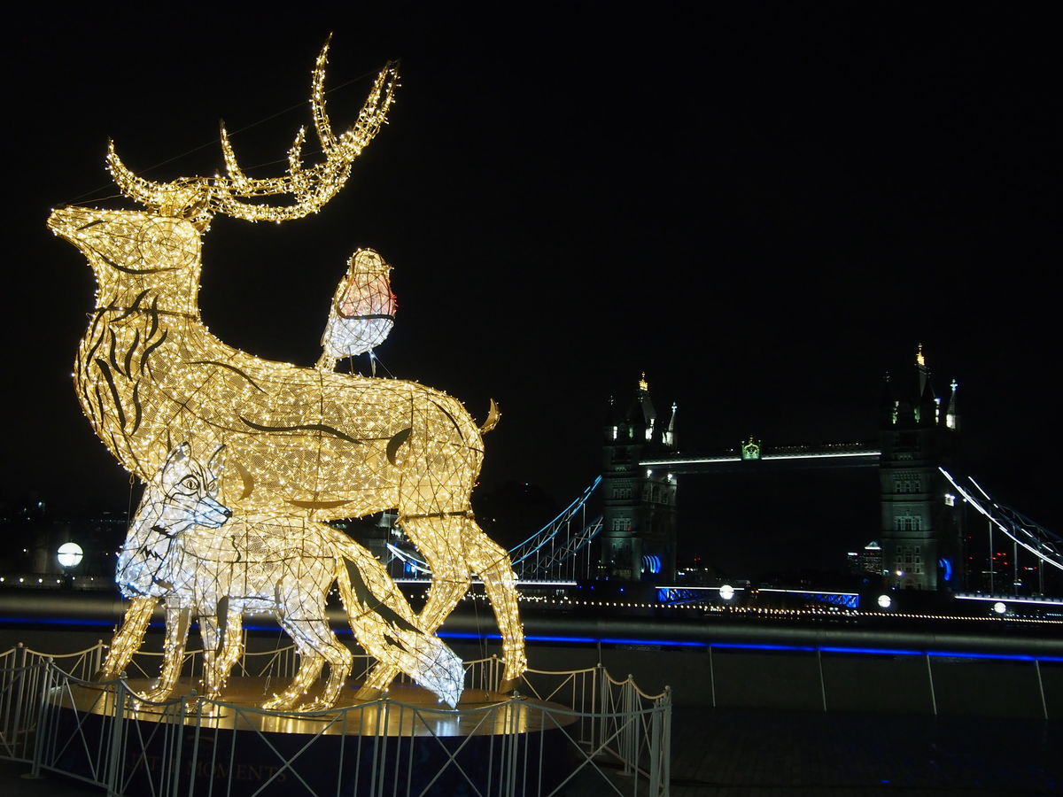 f:id:tra_live:20210618012104j:plain